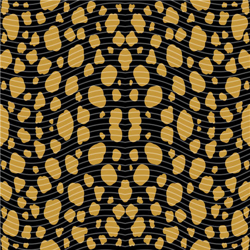 holographic Big- 360